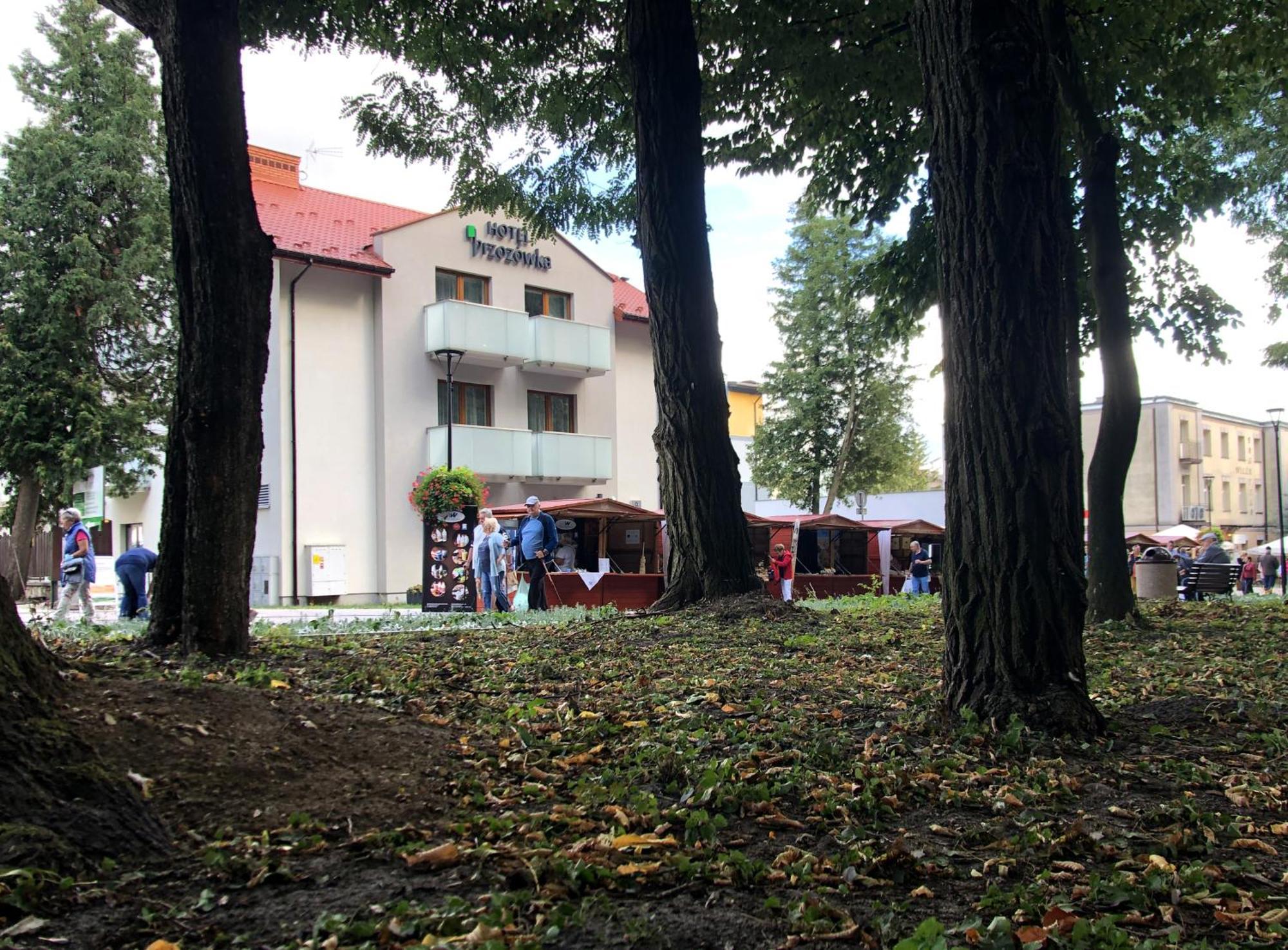 Hotel Brzozowka Busko Zdroj Exterior photo